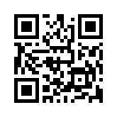 QR CODE 461