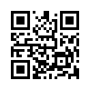 QR CODE 529
