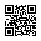QR CODE 316