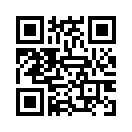 QR CODE 317