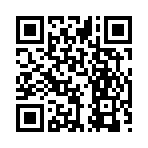 QR CODE 258