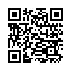 QR CODE 316