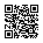 QR CODE 317