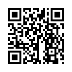 QR CODE 336