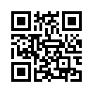 QR CODE 228