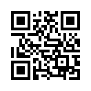 QR CODE 31