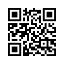 QR CODE 993