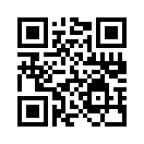 QR CODE 42