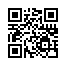 QR CODE 53