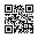 QR CODE 91