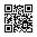 QR CODE 217