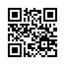 QR CODE 219