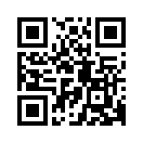 QR CODE 91