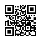 QR CODE 110