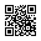 QR CODE 216