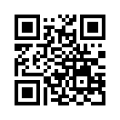 QR CODE 305