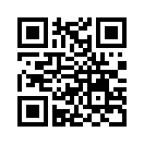 QR CODE 31
