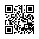 QR CODE 461