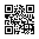 QR CODE 515