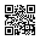 QR CODE 733