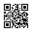 QR CODE 767