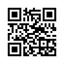 QR CODE 344