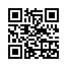 QR CODE 390