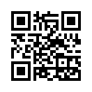 QR CODE 394