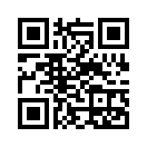 QR CODE 397