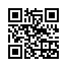 QR CODE 408