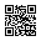 QR CODE 409