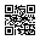 QR CODE 411
