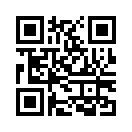 QR CODE 43