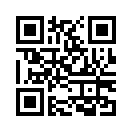 QR CODE 53