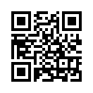 QR CODE 110