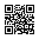 QR CODE 133