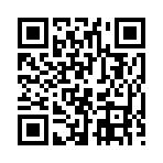 QR CODE 137