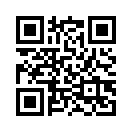 QR CODE 316