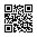 QR CODE 494
