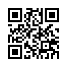 QR CODE 538