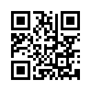 QR CODE 110