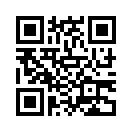 QR CODE 133