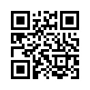 QR CODE 217