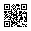 QR CODE 1100