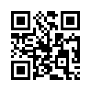 QR CODE 1113