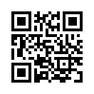 QR CODE 1238