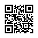 QR CODE 1271