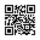 QR CODE 1333