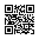 QR CODE 1336