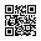 QR CODE 1337